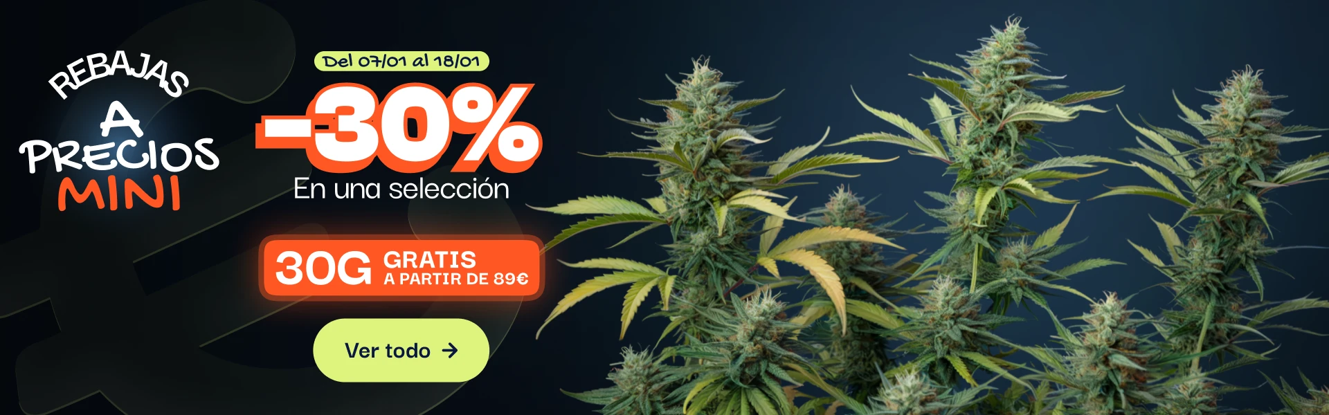 CBD pas chere offre du moment